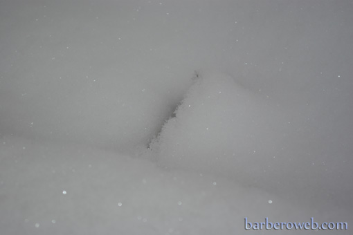 Foto: La nieve al detalle