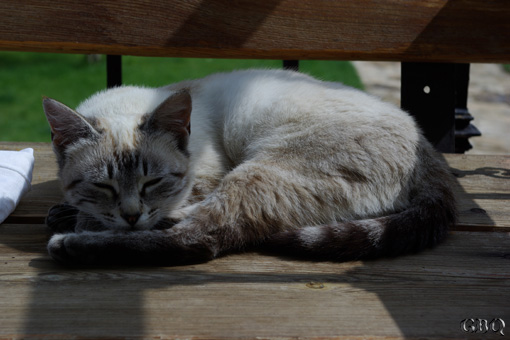 Foto: La siesta