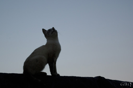 Foto: Mirando al cielo