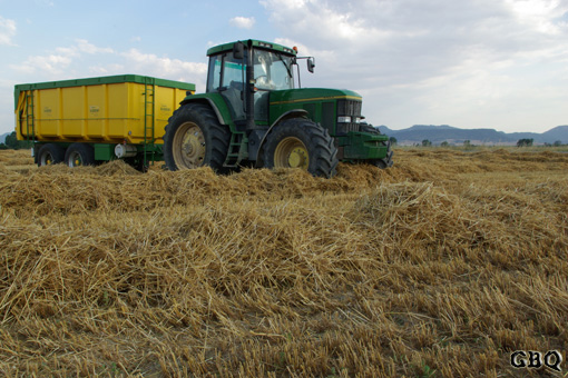 Foto: Trabajando