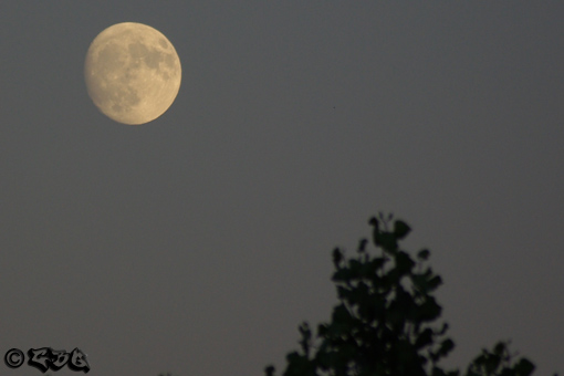 Foto: La luna