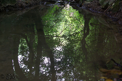 Foto: Reflejo en el agua