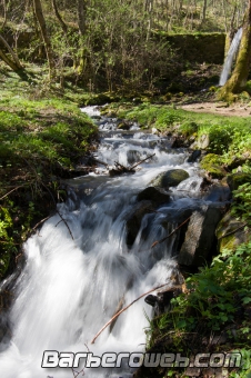 Foto: Agua y verde