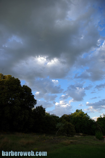 Foto: Arboles y nubes