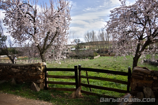 Foto: Bienvenido al campo