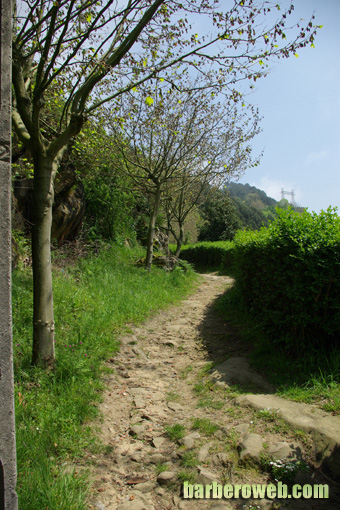 Foto: Camino hacia el monte