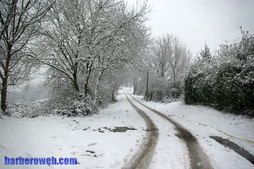Foto: Camino entre la nieve