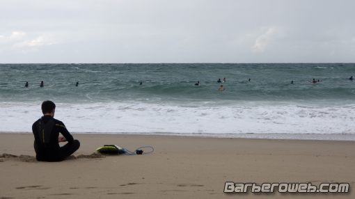 Foto: Esperando su momento