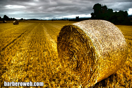 Foto: Foto de fardo en HDR