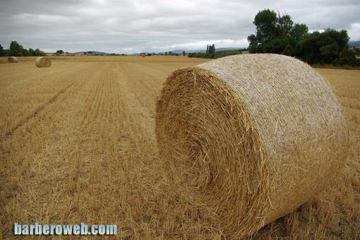 Foto: Paisaje agricola. Fardos en el campo