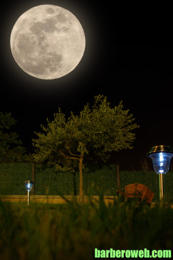 Foto: El jardin y la luna