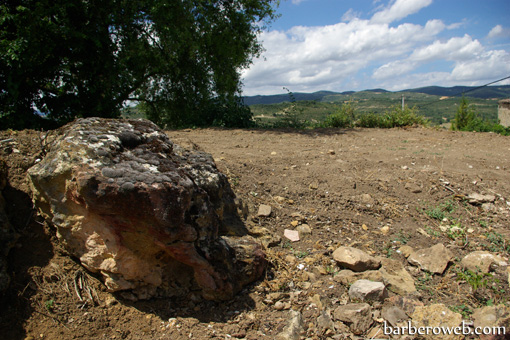 Foto: Roca en el campo