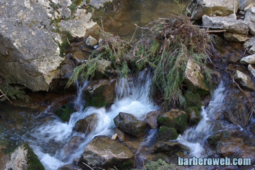 Foto: Manto de agua en el riachuelo