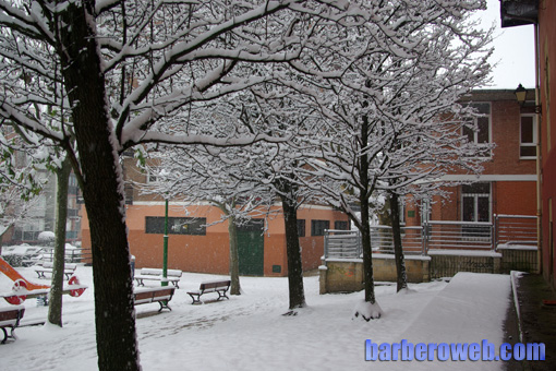 Foto: Nieve en el parque