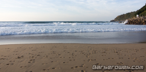 Foto: Pisadas junto al mar