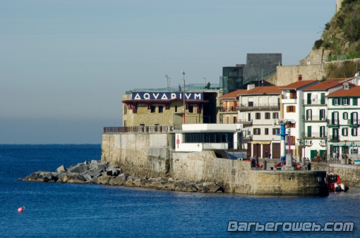 Foto: Aquarium San Sebastián