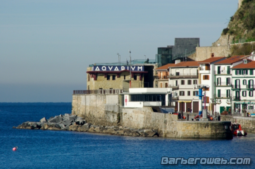 Foto: Aquarium San Sebastin