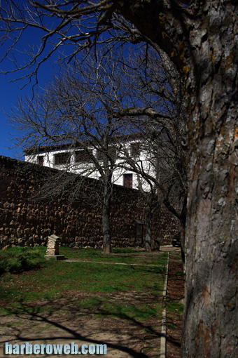 Foto: Al cobijo de los arboles