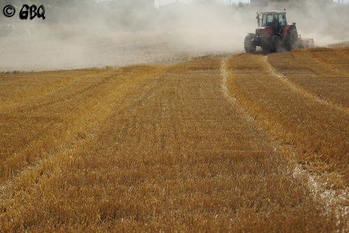 Foto: Tractor agricola en la finca