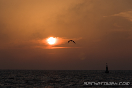 Foto: Volando hacia el sol