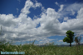 Foto: Nubes