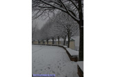 Foto: Nieve