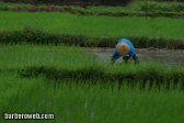 Foto: Vietnam