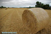 Foto: Paisajes
