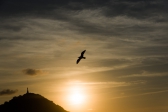 Foto: Cielos