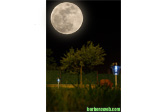 Foto: Luna
