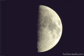Foto: Luna