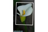 Foto: Montajes