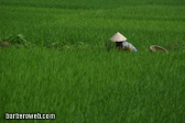 Foto: Vietnam