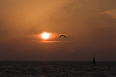 Foto: Cielos